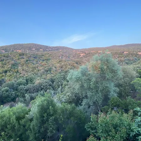 Villa Magnifique Vue Avec Piscine Coti-Chiavari (Corsica)