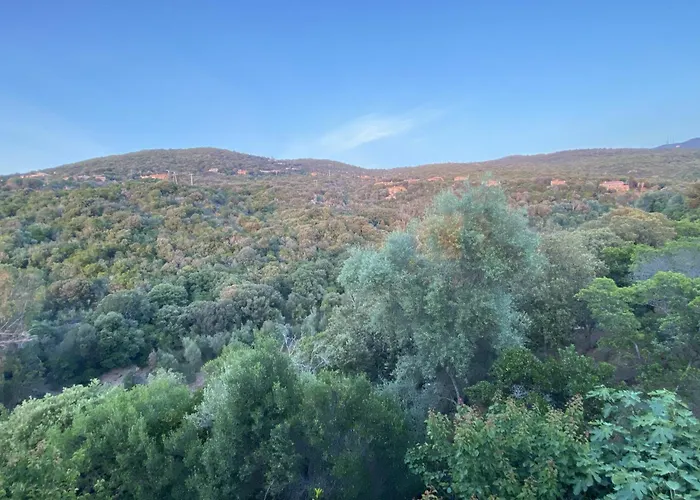 Villa Magnifique Vue Avec Piscine Coti-Chiavari (Corsica)